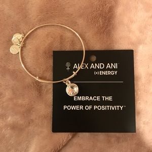 Alex and Ani Embrace the Power it Positivity